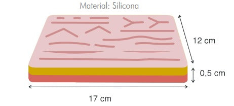 Pad de suturas en silicona - Almohadilla de entrenamiento - Jelt
