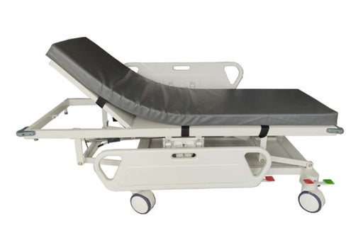 Camilla mecánica cambio de altura IM, colchoneta en espuma rosada de alta densidad, forrada en cordoban, facil limpieza, levante de sistema neumático en lámina cold cold, uso médico - Jelt