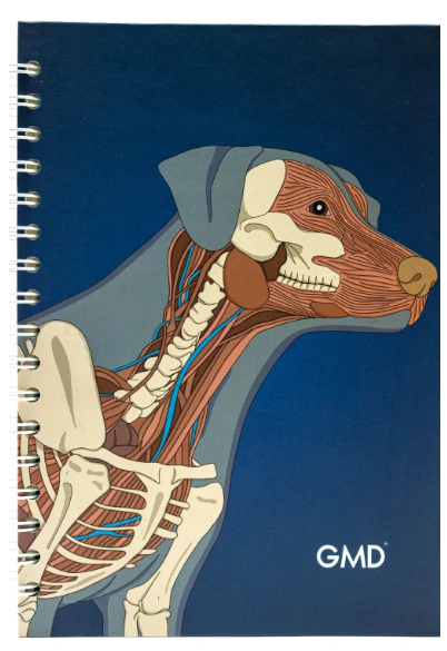 Cuaderno Argollado Perro Anatomía Unidad Ref. GMD-NB-16