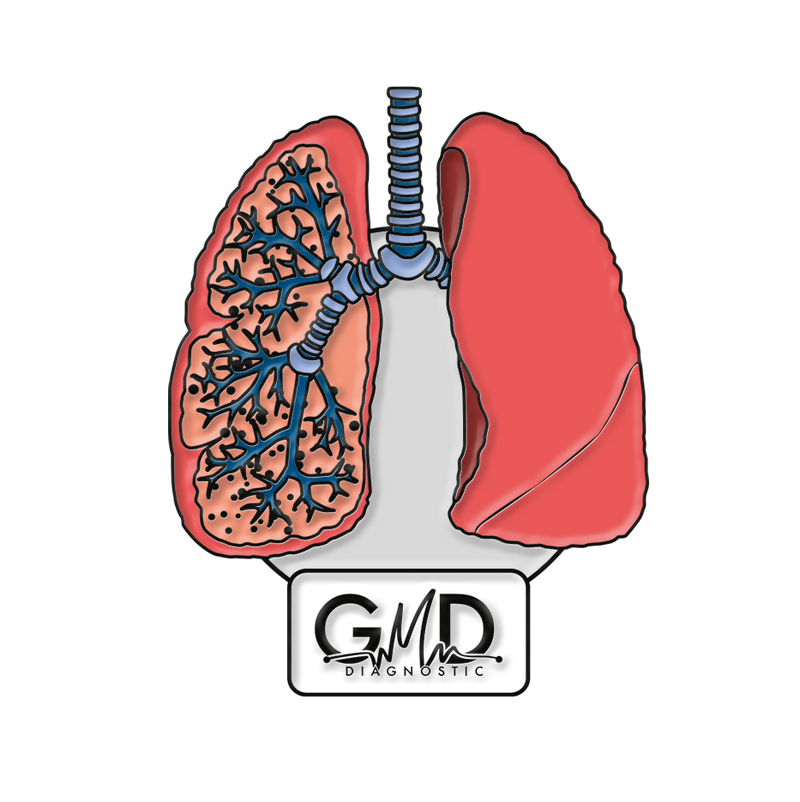 Pin GMD órganos del cuerpo humano