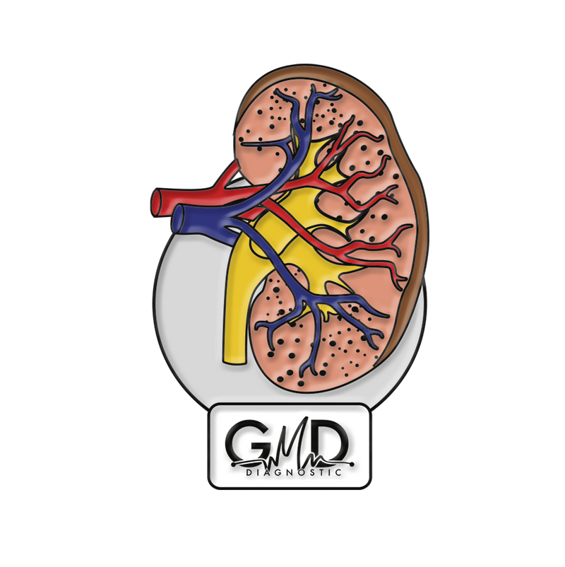 Pin GMD órganos del cuerpo humano
