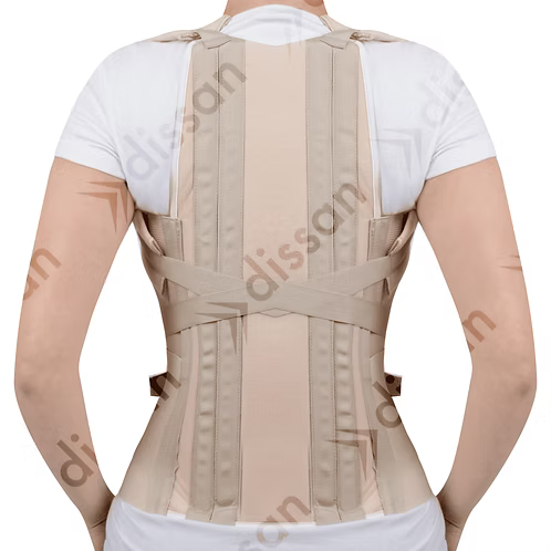 Faja Dorso Lumbar L Ref. DS336 - Dissan